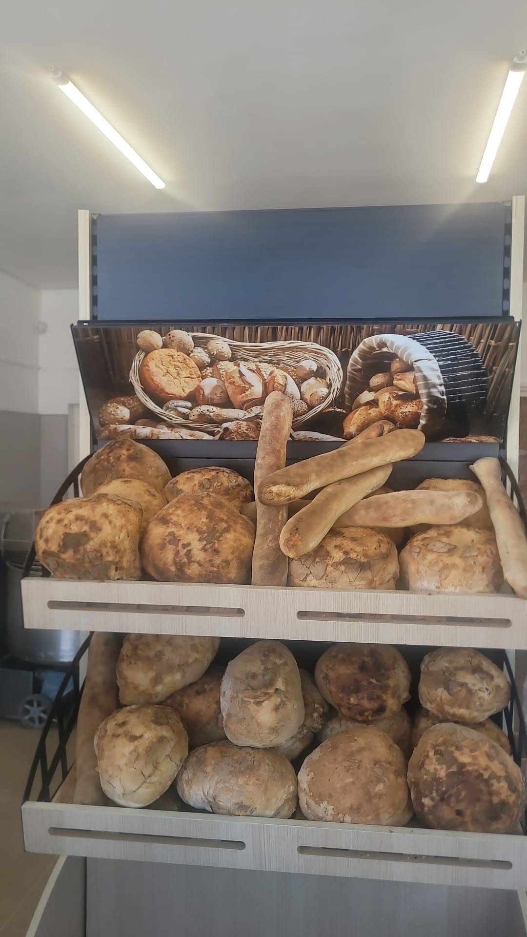 Pâini rotunde și o baghetă, pe raftul de jos